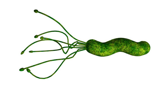 H. Pylori