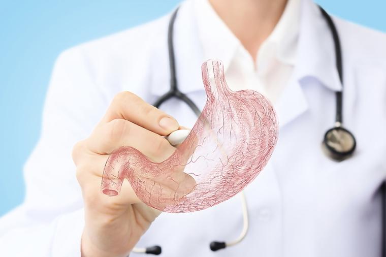 Midede Frajilite Nedir?